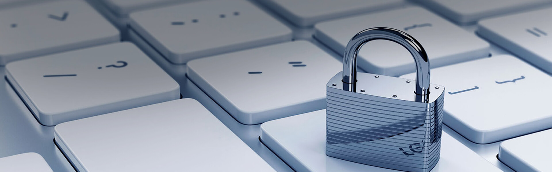 privacy policy (1)